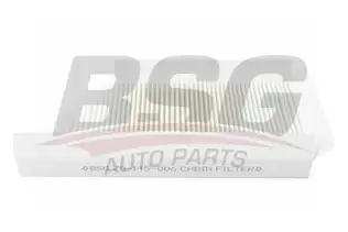 BSG 70145006 Polen Filtresi