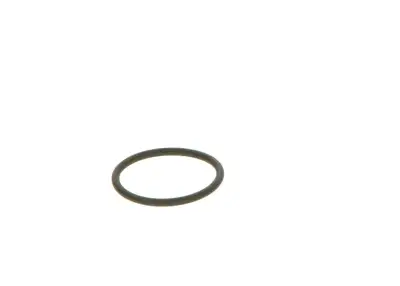 BOSCH 2440210039 Lastik - 21. Görsel