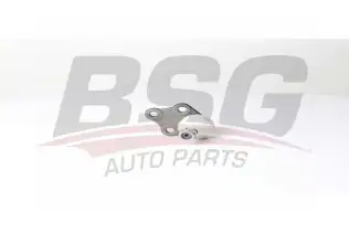 BSG 60310289 Rotil Alt