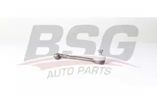 BSG 75310027 Rot Başı Sol