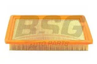 BSG 40145005 Polen Filtresi