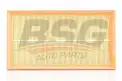 BSG 60135011 Hava Filtresi