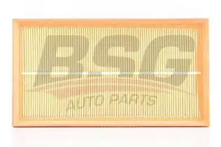 BSG 60135011 Hava Filtresi