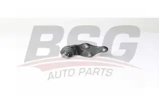 BSG 40310141 Rotil Alt