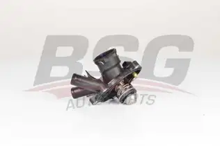 BSG 60125015 Termostat