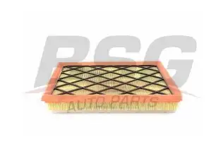 BSG 65135020 Hava Filtresi