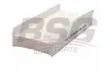 BSG 30145003 Polen Filtresi
