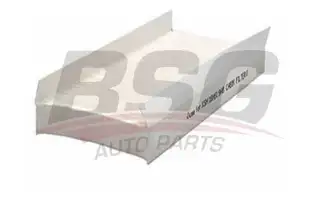 BSG 30145003 Polen Filtresi