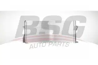 BSG 15520018 Su Radyatörü