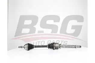 BSG 75350021 Aks Komple Ön Sağ