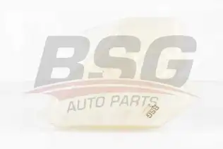 BSG 30550010 Radyatör Yedek Su Deposu