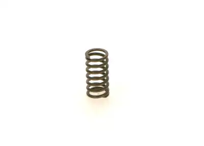 BOSCH 1414618027 Basınç Yayı - 5. Görsel