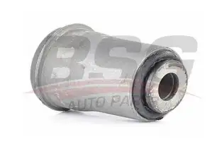 BSG 40700098 Salıncak Burcu Ön