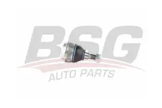 BSG 40310084 Rotil Alt