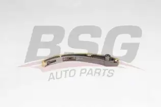 BSG 30109039 Eksantrik Zincir Gergi Paleti