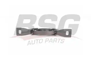 BSG 65700262 Şaft Askısı