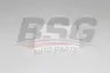 BSG 30145025 Polen Filtresi
