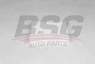 BSG 30145025 Polen Filtresi
