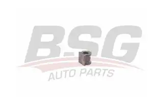 BSG 90700168 Viraj Demir Lastiği Ön