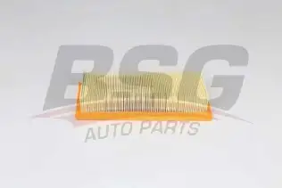 BSG 25135013 Hava Filtresi