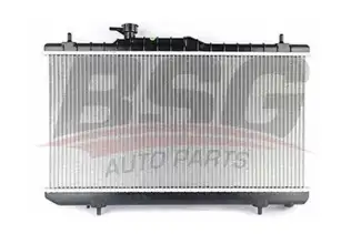 BSG 40520002 Su Radyatörü
