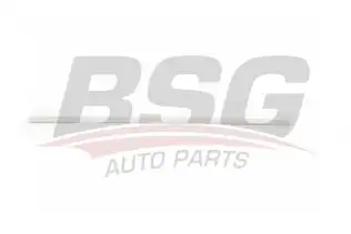BSG 90924022 Kapı Bandı Ön Sağ