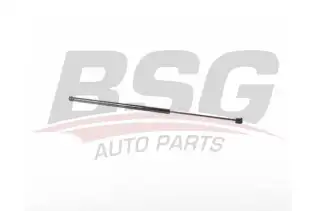 BSG 90980077 Kaput Amortisörü