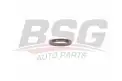 BSG 30116113 Eksantrik Keçesi