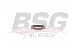 BSG 30116113 Eksantrik Keçesi