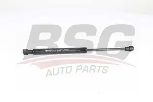 BSG 15980009 Motor Kaput Amortisörü