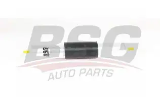 BSG 15130006 Yakıt Filtresi