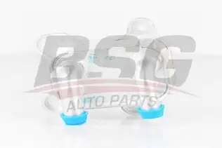 BSG 65506002 Yağ Soğutucusu