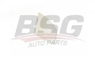 BSG 90910027 Ayna Camı Sağ