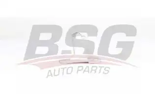 BSG 75330001 Aks Taşıyıcı Orta