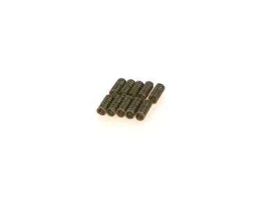 BOSCH 1414613002 Basınç Yayı - 6. Görsel