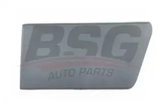 BSG 30926004 Çamurluk Kusağı Arka Sol