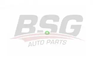 BSG 30995050 Mazot Geri Dönüş Hortum Oringi