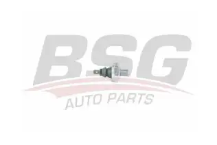 BSG 90840039 Yağ Basınç Müşürü