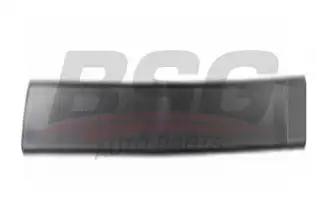 BSG 30924009 Kapı Kusağı Arka Sol