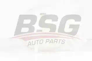 BSG 90550010 Radyatör Yedek Su Deposu