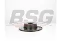 BSG 60210049 Fren Diski Arka