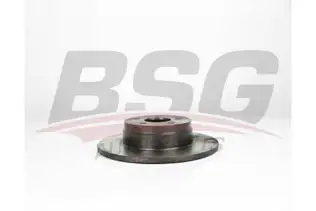 BSG 60210049 Fren Diski Arka