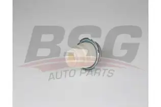 BSG 25700009 Amortisör Takozu Arka