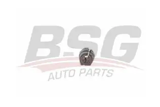 BSG 70700097 Viraj Demir Lastiği Ön