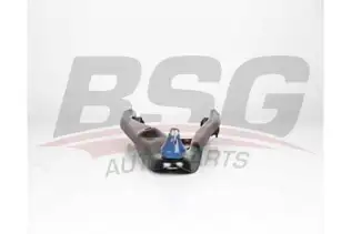 BSG 75315035 Salıncak Ön Sağ