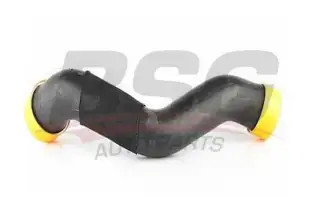 BSG 60720100 Turbo Hortumu