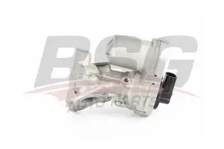 BSG 70836004 Egr Valfi