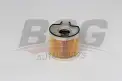 BSG 70130007 Yakıt Filtresi