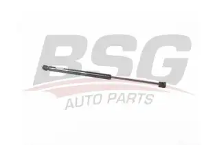 BSG 40980030 Bagaj Amortisörü