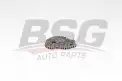 BSG 60105009 Eksantrik Zinciri